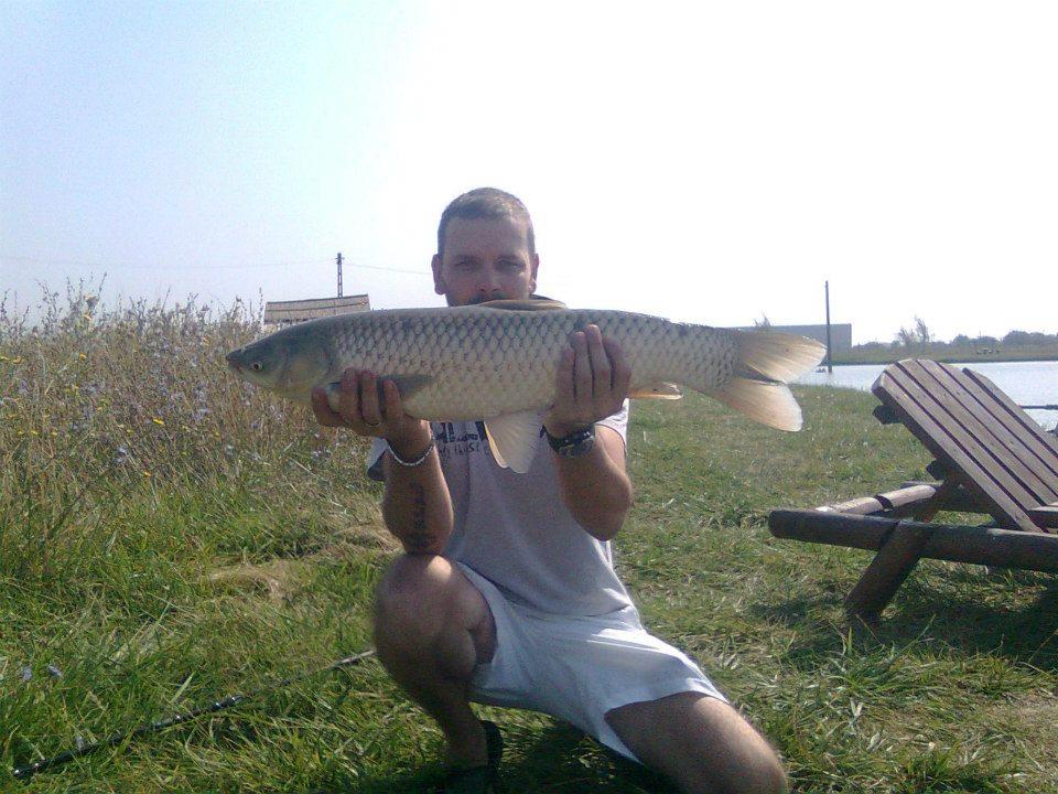 1 - 2932484518394215155491345530302n1.jpg